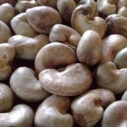 Premium Nigerian Cashew Nuts for export