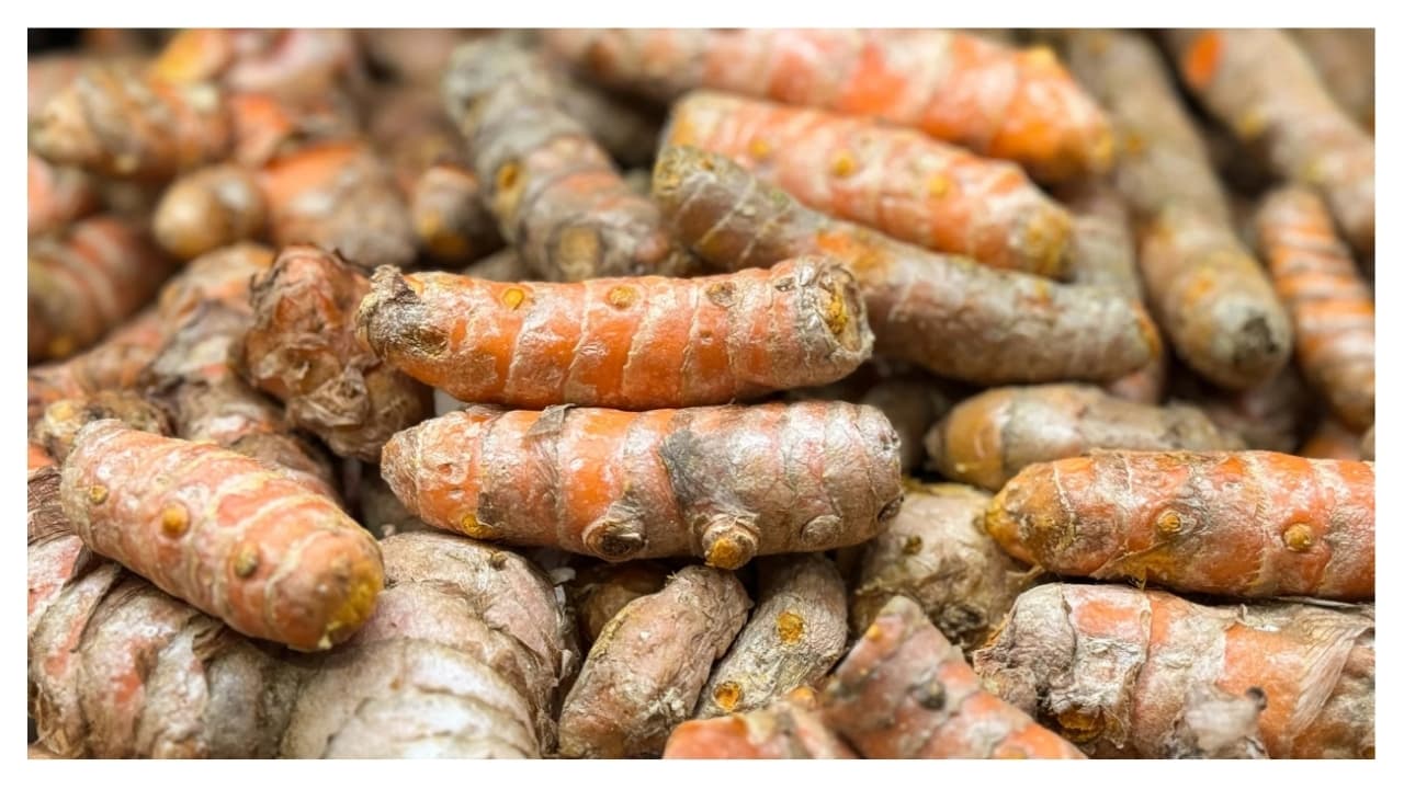 Premium Nigerian Turmeric for export