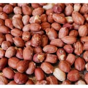 Premium Nigerian Peanuts (Groundnuts) for export