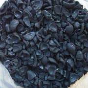 Premium Nigerian Palm Kernel Shell for export