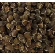 Premium Nigerian Moringa Seeds for export