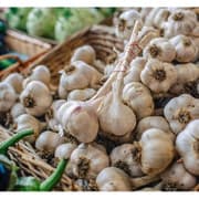 Premium Nigerian Garlic for export
