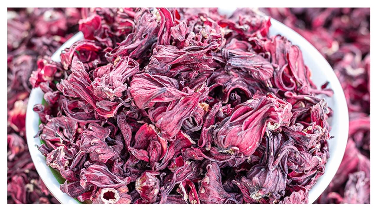 Premium Nigerian Hibiscus Flower for export