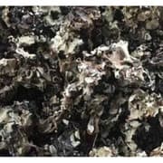 Premium Nigerian Black Stone Flower for export