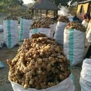 Premium Nigerian Ginger for export